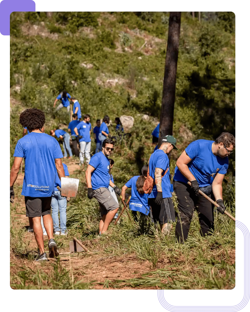 Les experts d'Alter Solutions travaillent en équipe dans le cadre d'une activité de plein air à but environnemental Les experts d'Alter Solutions travaillent en équipe dans le cadre d'une activité de plein air à but environnemental